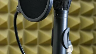 How Local AI Plugins Protect Client Audio While Generating Offline Transcripts