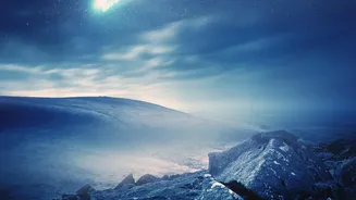 The 2026 Perseids Need No Telescope, Only Darkness and a Clear Sky