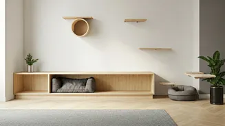 Indian Pet Homes Want Comfort Built In