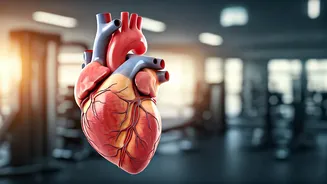 Exercise Advantage: Women's Edge Over Men