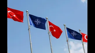 NATO Summit In Ankara: Who’s Attending And What’s On The Table?