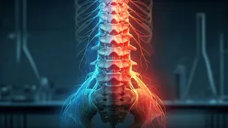 Nerve vs. Muscle Pain: A Spine Surgeon's Guide to Decoding Your Discomfort