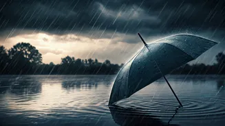 Rain Alert? These 10 Monsoon Tips Really Matter
