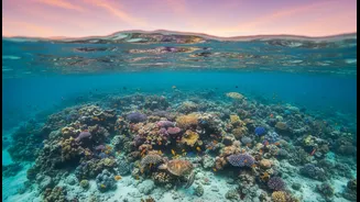 Warm Oceans Have Entered Travel Planning