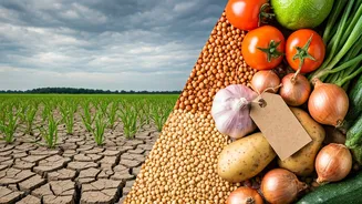 Food Costs Make Rainfall Gaps Feel Real