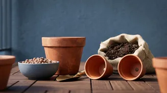 How To Improve Drainage Before Planting Your October Balcony Garden