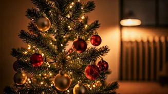 Kartik Aaryan & Ananya Panday's Christmas Cheer!