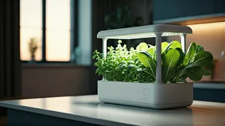 Smart Indoor Hydroponic Gardening Kits Sell Out In Metros