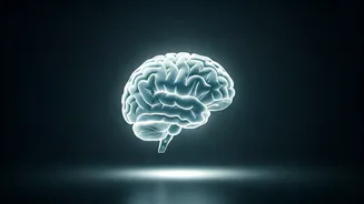 Chronic Stress: The Silent Lifestyle Disease Beyond Diabetes and Obesity