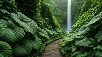 Nature Lovers Should Visit During The Rains