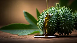 Unveiling Castor Oil: Nature's Potent Elixir for Wellness and Beauty