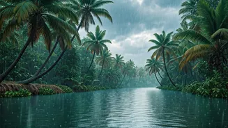 Kerala And Tamil Nadu Are Monsoon Travel Hotspots