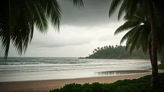Empty Beaches Are Kerala's Off-Season Superpower