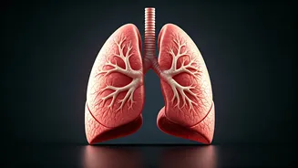 Related Stories banner