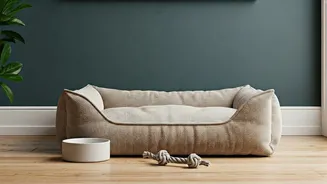 Mumbai Pet Owners Embrace Quiet Luxury Boarding Trend