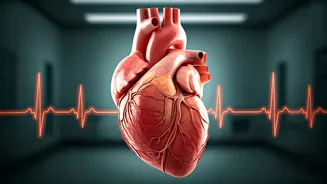 Related Stories banner