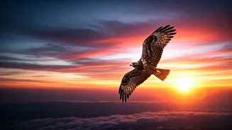 Six Visionary Bird Photographers Redefining Avian Artistry You Must Follow