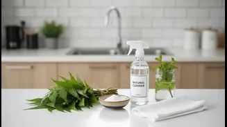 The Real Opportunity in Low-Chemical Monsoon Cleaning Goes Beyond Vinegar, Neem and Baking Soda