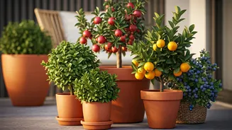 Nine Fruit Trees Perfect for Small Yards and Patios: Grow Your Own Harvest