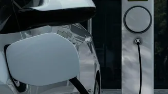 Why Abundant Salt-Derived Sodium Batteries Are Transforming India's Affordable Electric Vehicle Future
