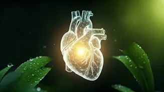 Unlock a Healthier Heart: 5 Japanese Lifestyle Secrets for Longevity