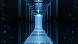 Infosys CEO Rejects Deportation Rumors, Asserts No Arrests