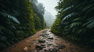 Monsoon Treks Need More Planning Than You Think
