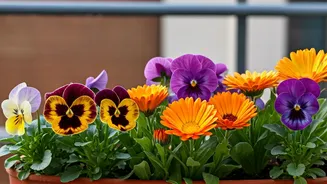 8 Winter Blooms: Vibrant Balcony Beauties