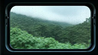Rain Trains Are The Slow-Travel Flex Now