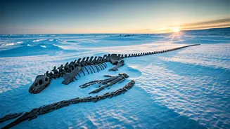 Arctic Fossil Finds: Dinosaur Survival Secrets!