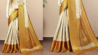 Disha Patani's Dazzling Saree: A Fashion Statement