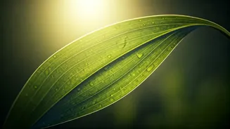 7 Essential Summer Skincare Habits for Radiant, Protected Skin