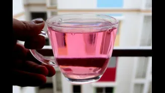 Pink Drinking Water Is A Thing And It Is Available In India: Location, Benefits, Cost Per Bottle
