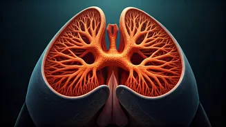 Whales vs. Cancer: Lessons from the Deep