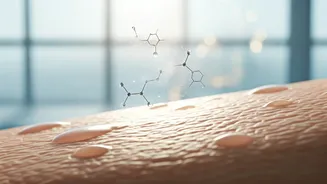 Ceramides Are Becoming Every Dermatologist's Favourite Pick