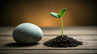 Why Smart Investors Don't Wait For Riches
