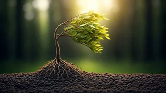 Mastering Life: Cultivating Adaptability in Children, Inspired by David Hume