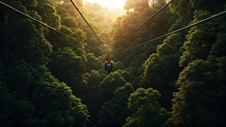 Adventure Starts High Above The Forest