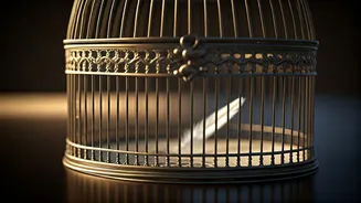 Celina Jaitly's Brother: The Ongoing Ordeal