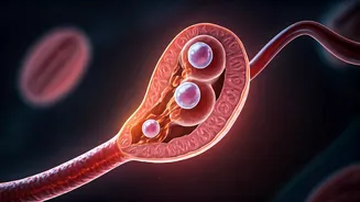 Beyond Fitness: Unmasking Hidden Fertility Challenges in Today's Health-Conscious World