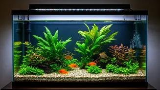Easiest Fish to Keep: Beginner Aquarium Guide