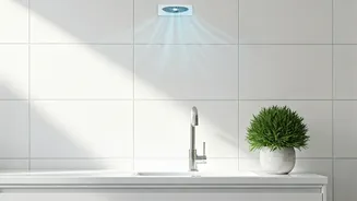 Banish Bathroom Mold: Simple Additions for Fresher, Healthier Air Quality