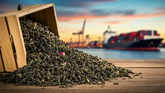 India's Tea Exports: A Look at Potential Trade Challenges