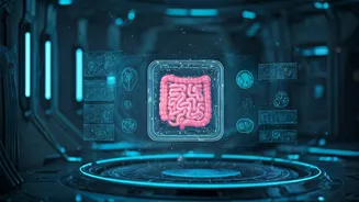 Four Tiny Avatars Could Shape Future Space Medicine