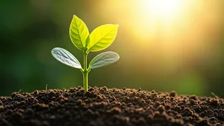 Related Stories banner