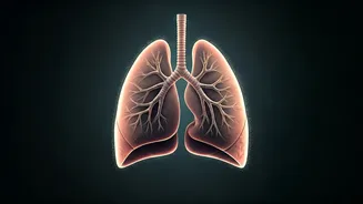 Delhi's Air Quality Crisis: A Deep Dive into Pollution's Grip and Health Concerns