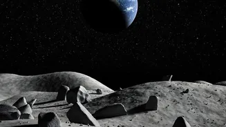 Fungal Spores May Survive Extreme Cold in Shadowed Lunar Terrain