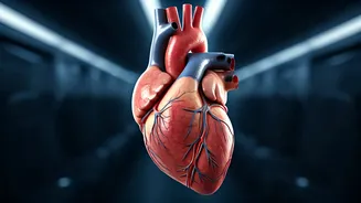 Heart Health in the Skies: Protecting Your Cardiac Well-being While Flying