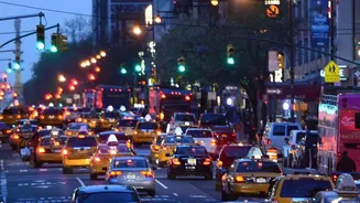 Why Everyday City Noise Pollution Alters Autonomic System Functions Leading To Persistent Cortisol Stress Surges
