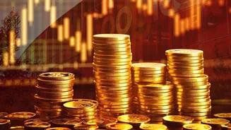 How Fixed Deposits Remain Part Of The Young Indian Financial Mix